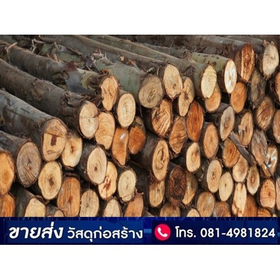 บริษัท วัสดุก่อสร้างไทย จำกัด - เสาเข็มไม้