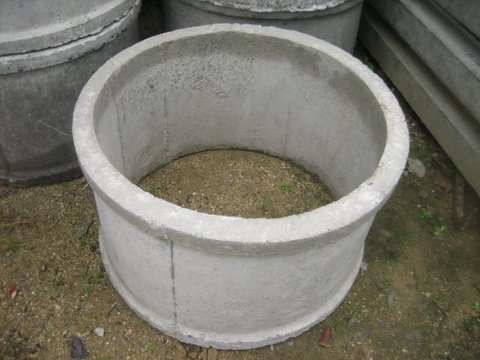 วงส้วมคอนกรีต